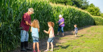 An older man and two children stand by tall corn plants, while an older woman and two smaller children walk nearby on a sunny day—connecting transitioning farmers with future farmers across generations.