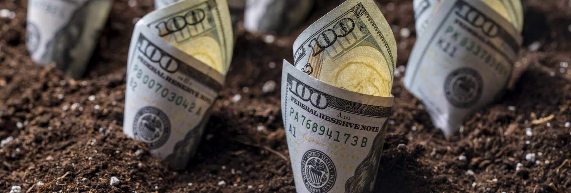 Several rolled-up US $100 bills are partially buried upright in dark soil, resembling small plants—an image that highlights key tips for surviving today’s ag economy.