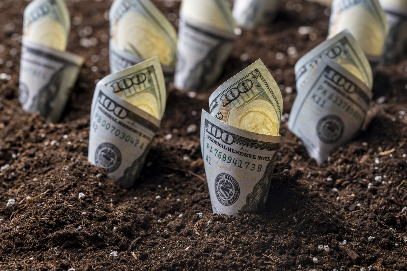 Several rolled-up US $100 bills are partially buried upright in dark soil, resembling small plants—an image that highlights key tips for surviving today’s ag economy.