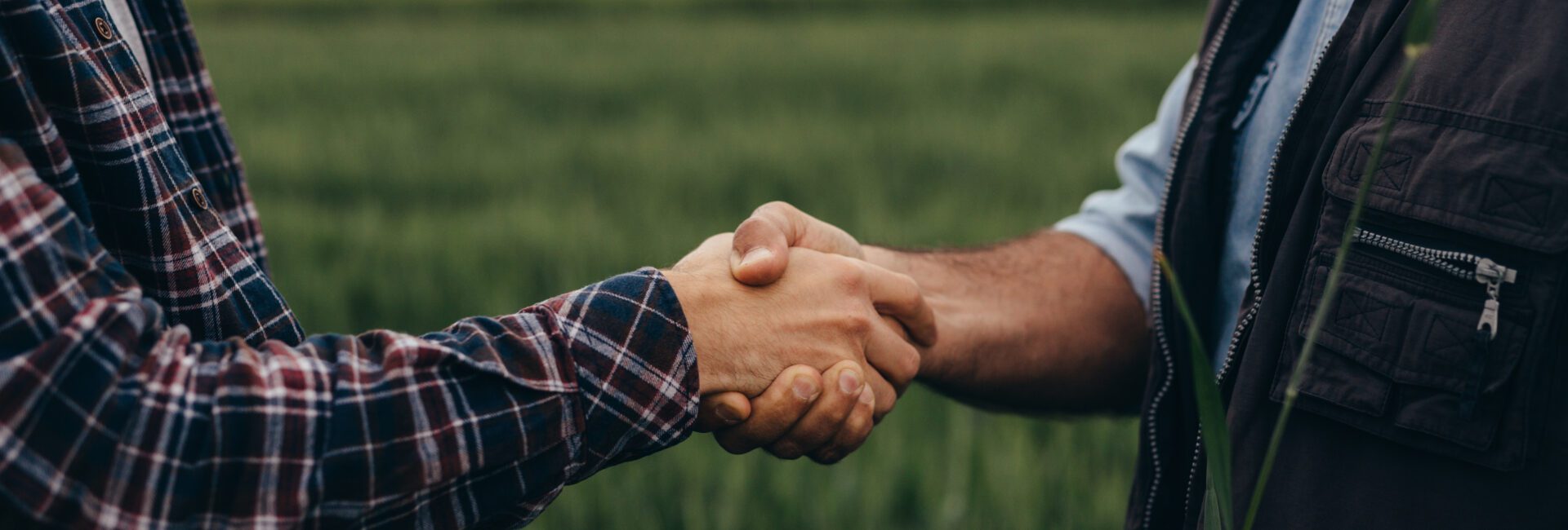 A man and woman from Sustainability Peer Groups shake hands in a field, fostering collaboration for a greener future.