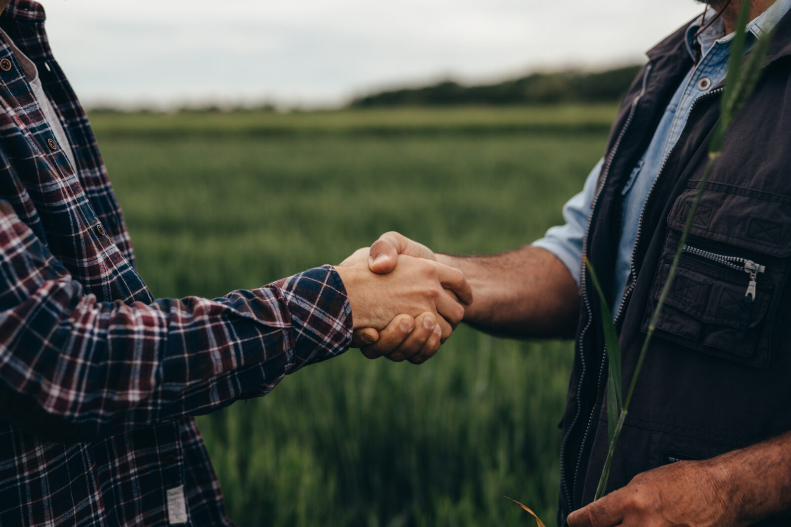 A man and woman from Sustainability Peer Groups shake hands in a field, fostering collaboration for a greener future.
