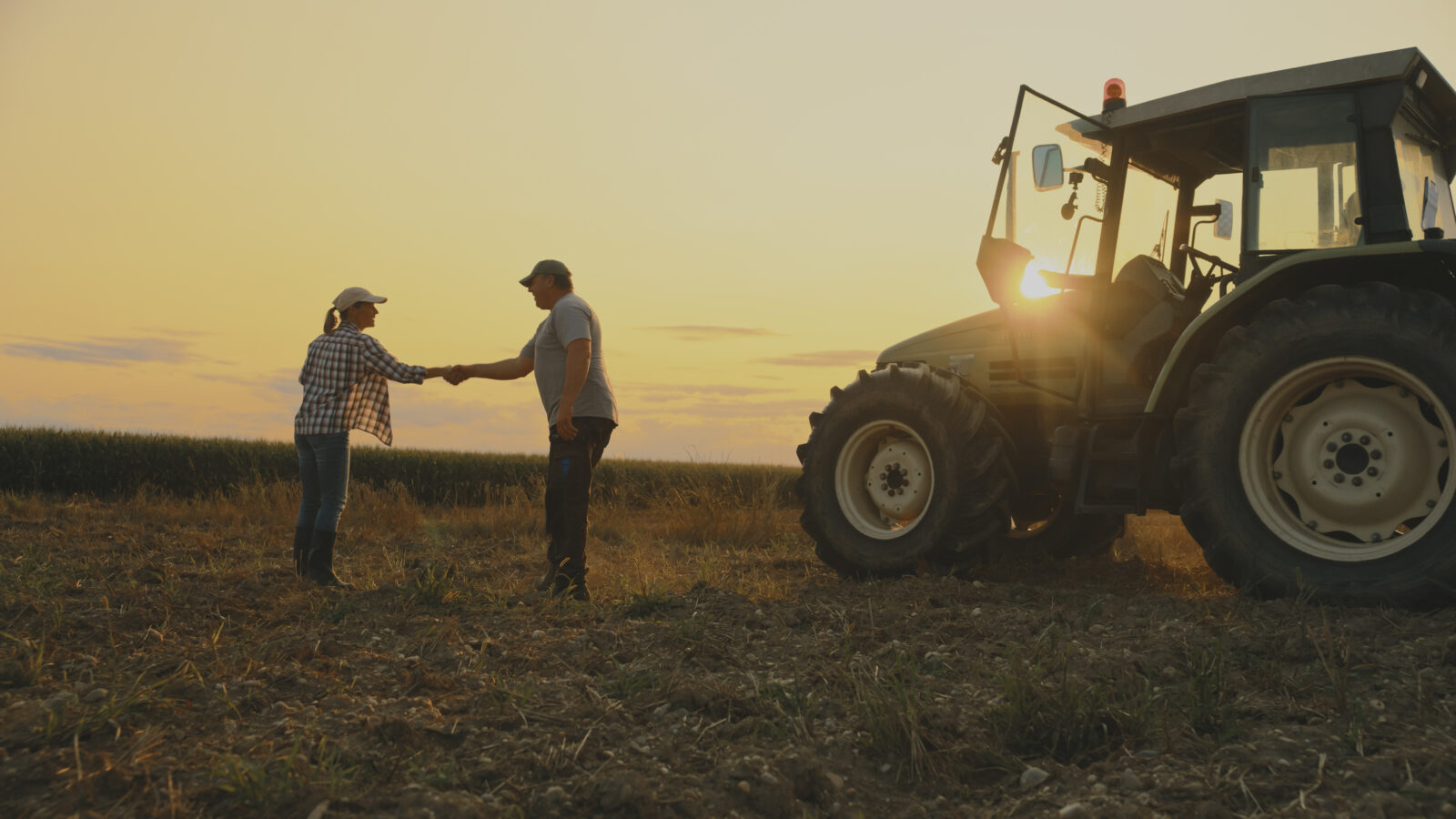 How Peer Groups Help Food and Ag Companies Advance Sustainability ...