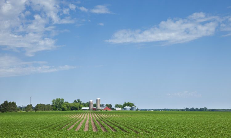 A green crop field with rows of plants stretches towards a distant farm with silos and buildings under a partly cloudy blue sky, reflecting the innovation highlighted at the Northern Agribusiness Summit.