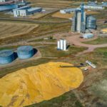 Aerial view of an agricultural facility with large grain silos, storage tanks, and piles of harvested grain spread on the ground, illustrating preparations for biofuels volatility in today's evolving energy landscape.