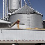 A grain auger unloads corn from metal silos into a large white truck trailer at a grain storage facility under clear blue sky.