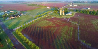 Aerial view of a rural landscape with farmland, green fields, scattered houses, silos, and tree-lined roads under a clear sky.