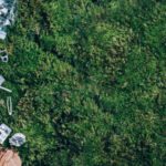 Assorted household waste, including plastic bottles, cans, paper, and blister packs—often subject to Extended Producer Responsibility (EPR)—lies on the left side of a green grass surface, with empty space on the right.