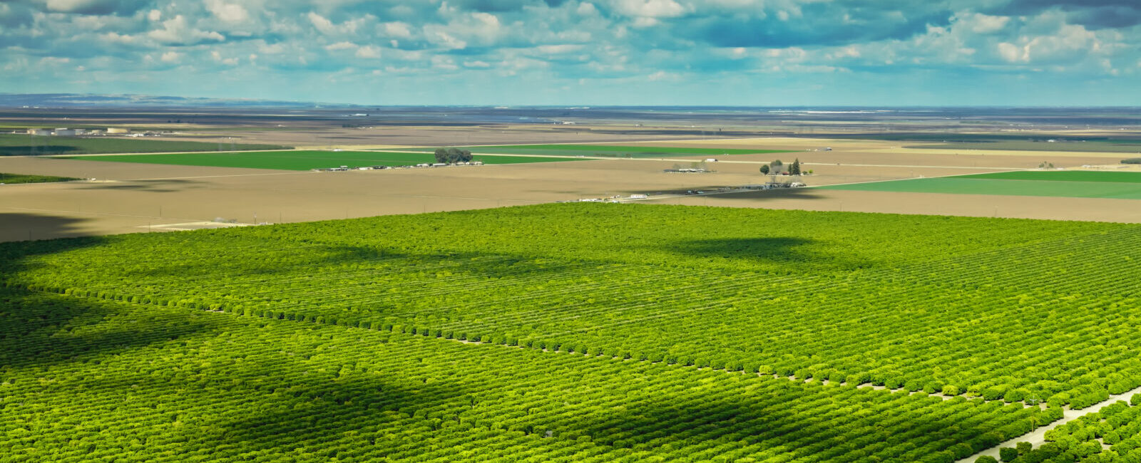 Aerial view of large, organized green agricultural fields with rows of crops under a partly cloudy sky.