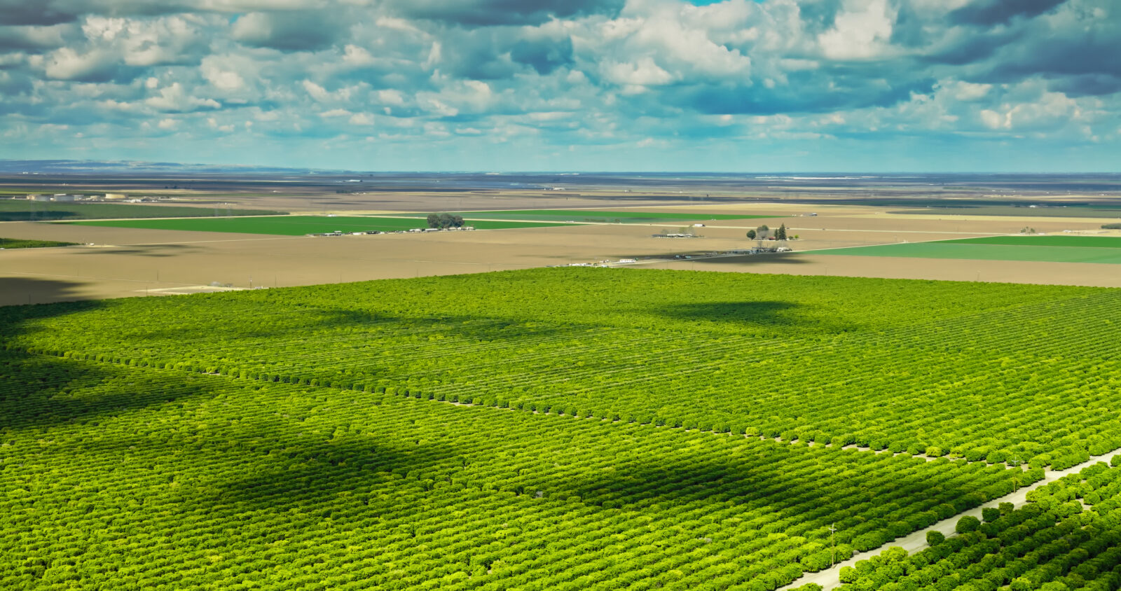 Aerial view of large, organized green agricultural fields with rows of crops under a partly cloudy sky.