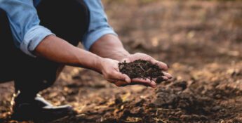 A person crouches outdoors, holding a pile of soil in their hands over a patch of bare ground.
