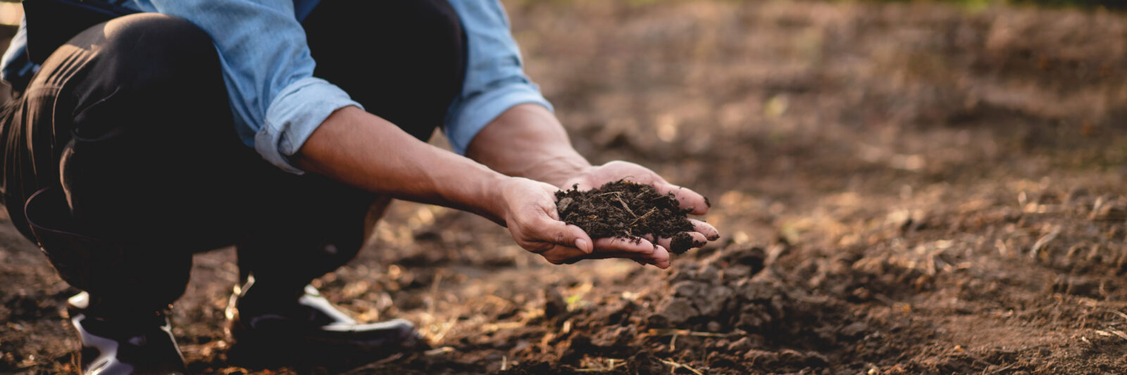 A person crouches outdoors, holding a pile of soil in their hands over a patch of bare ground.