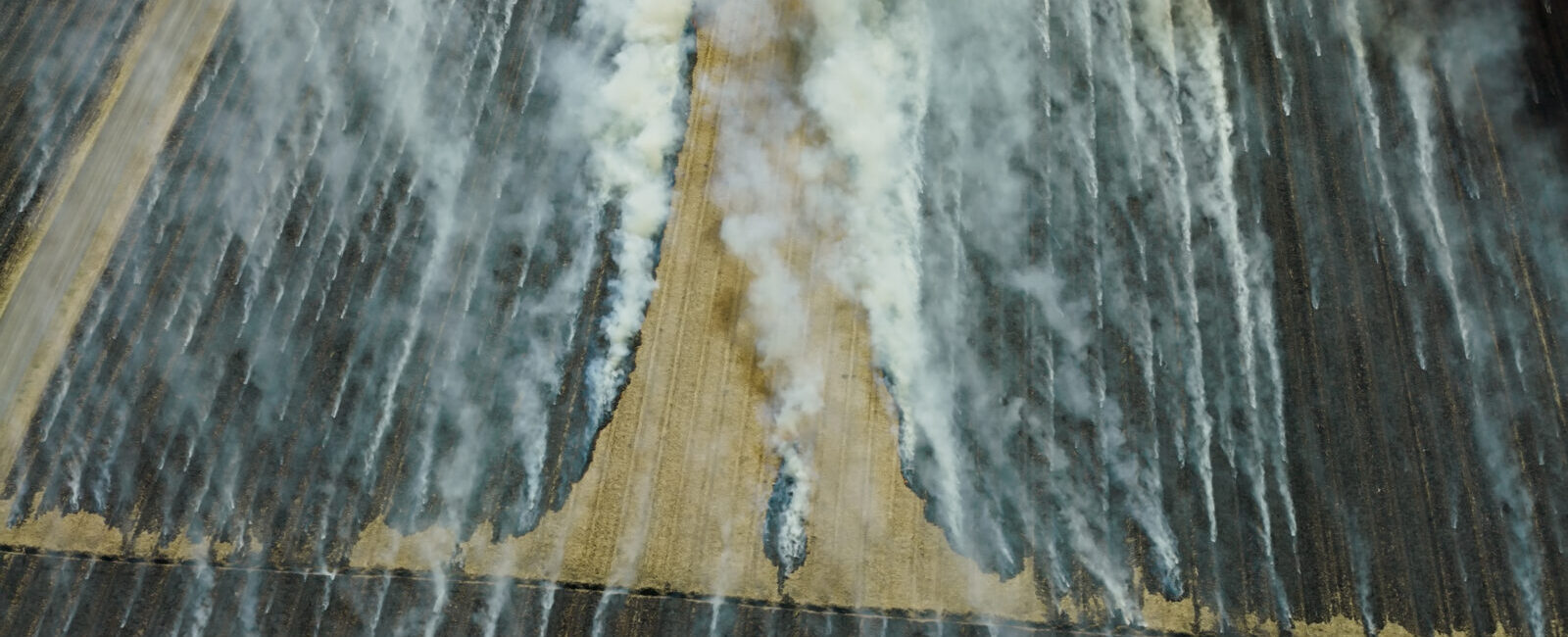 Aerial view of smoke rising from multiple lines burning across a large, cultivated agricultural field, illustrating the need for VCI Guidance On Emission Factors for GHG Accounting.
