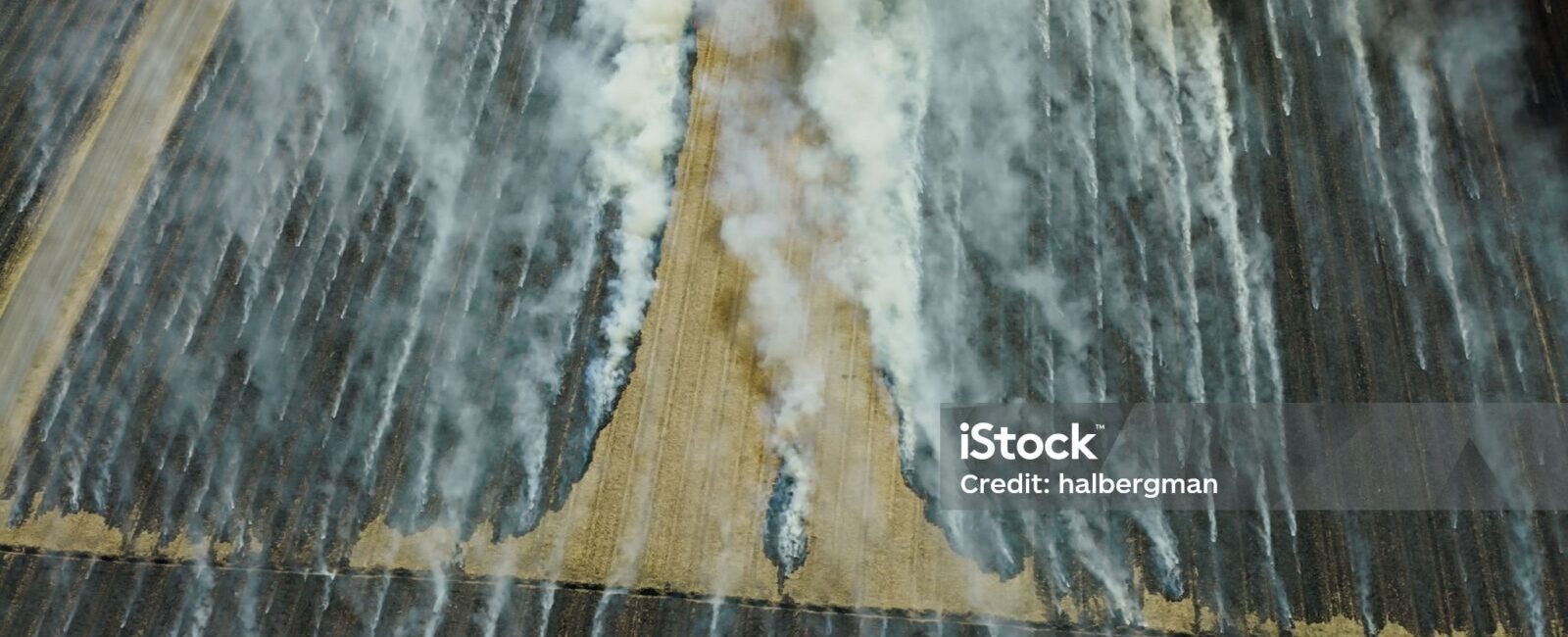 Aerial view of a large field with multiple plumes of white smoke rising from burning agricultural stubble, creating parallel lines across the land, illustrating scenarios addressed in VCI Guidance On Emission Factors for GHG Accounting.