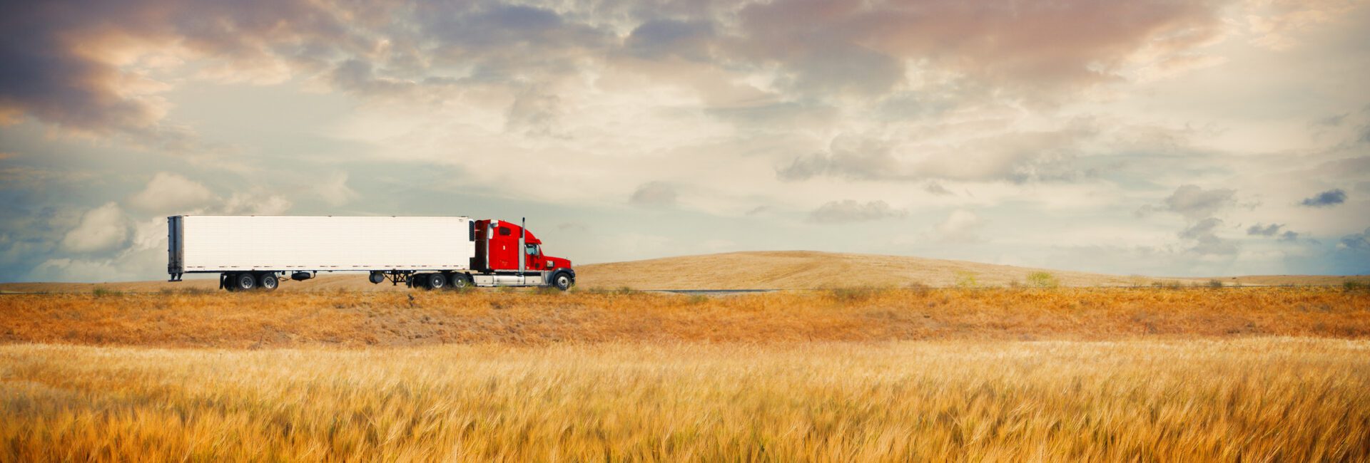A red semi-truck pulling a white trailer drives along a road through a golden wheat field under a cloudy sunset sky.