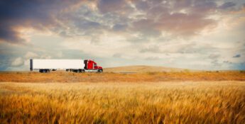 A red semi-truck pulling a white trailer drives along a road through a golden wheat field under a cloudy sunset sky.