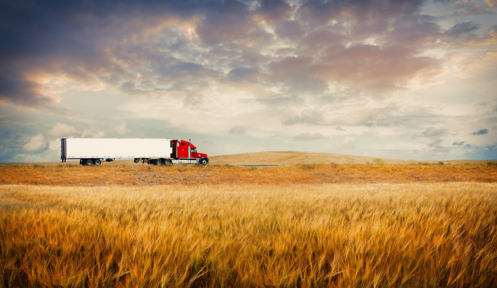 A red semi-truck pulling a white trailer drives along a road through a golden wheat field under a cloudy sunset sky.